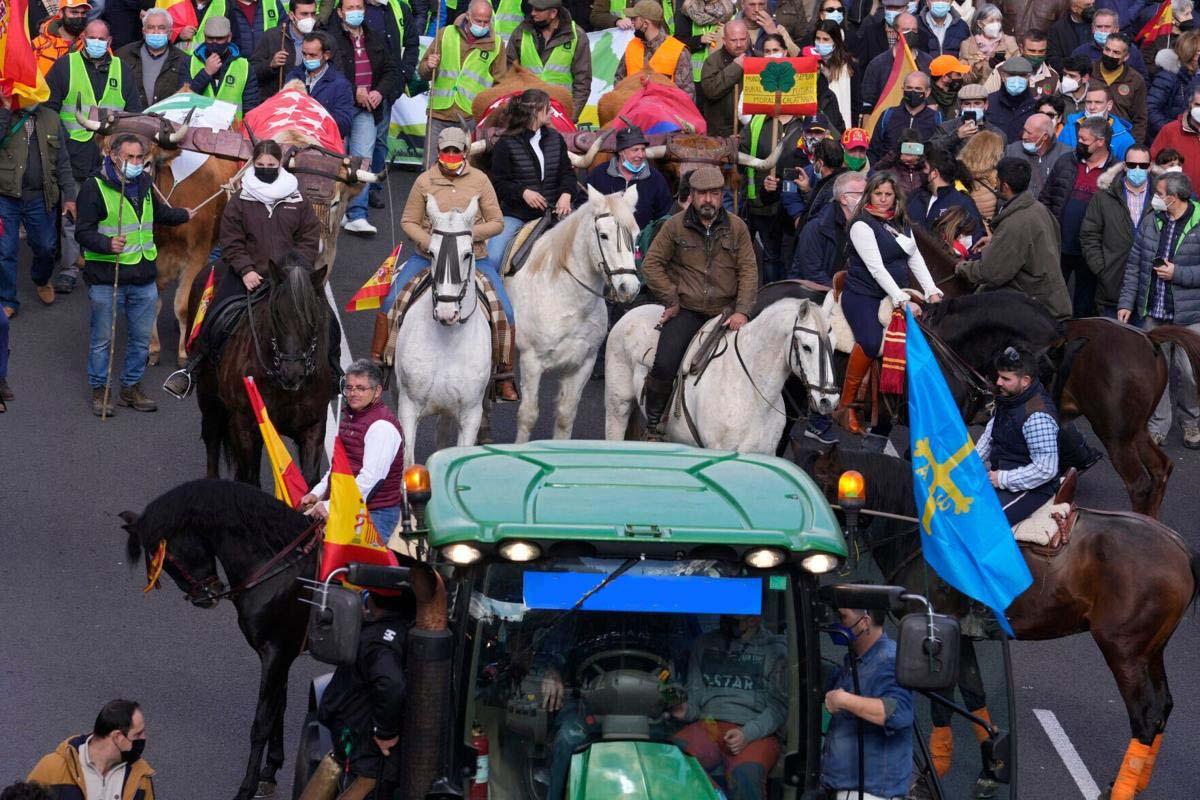 Farmers' protest in Spain highlights rural concerns