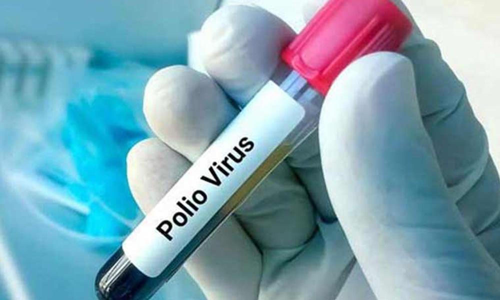 All environmental samples in Peshawar declared polio-free after two years