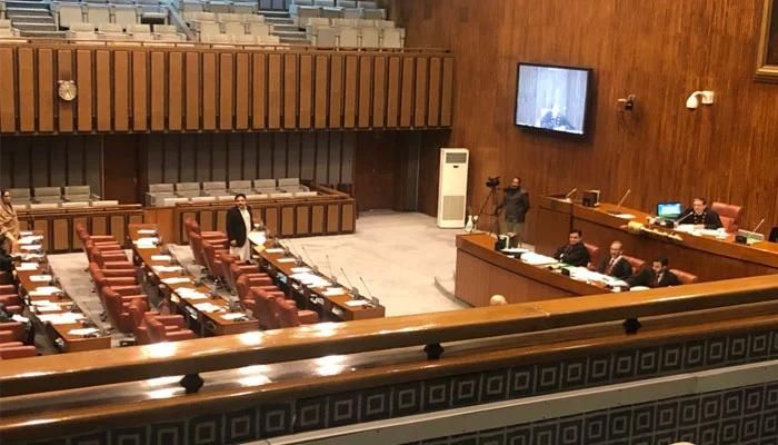 سینیٹ :جرگے کے حکم پرمرد اور خاتون کےقتل کیخلاف قرارداد منظور