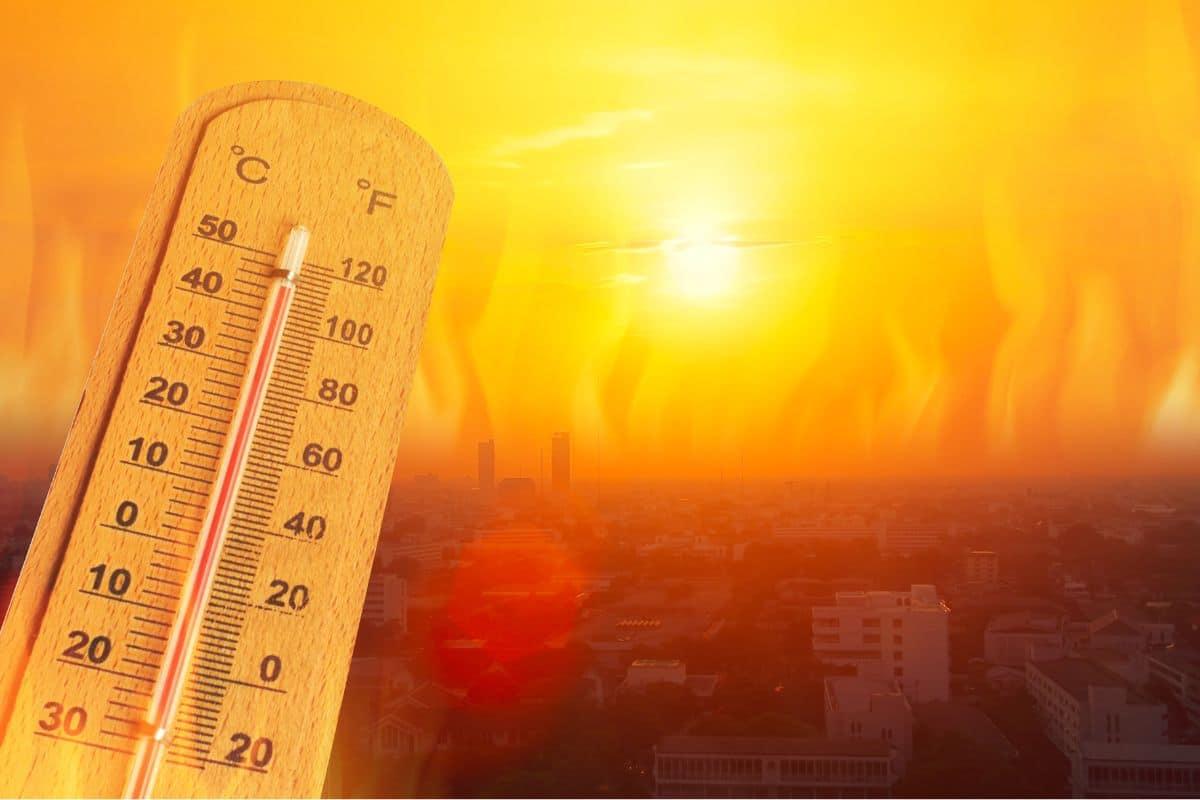 UAE records hottest day of the year at 51.8°C