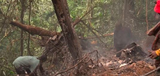 Ghana’s defence, environment ministers killed in helicopter crash