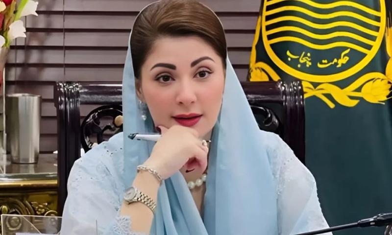 پنجاب حکومت کی کامیاب حکمت عملی سے گندم کموڈٹی قرض مکمل طور پر ختم