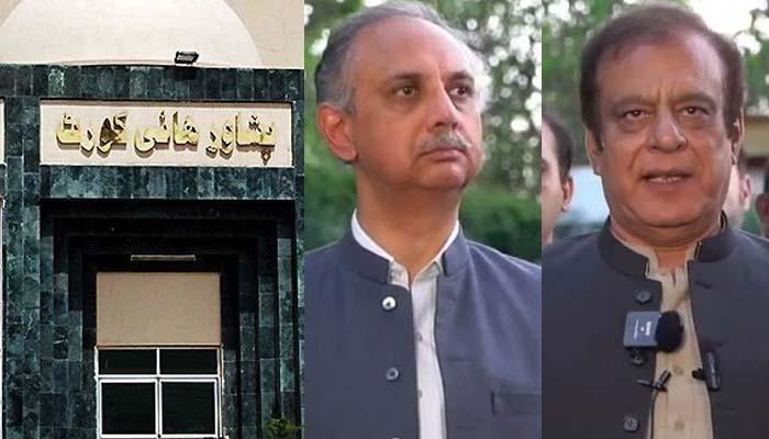 پشاور ہائی کورٹ کا سینیٹ اور قومی اسمبلی میں نئے اپوزیشن لیڈر کا تقرر روکنے کا حکم
