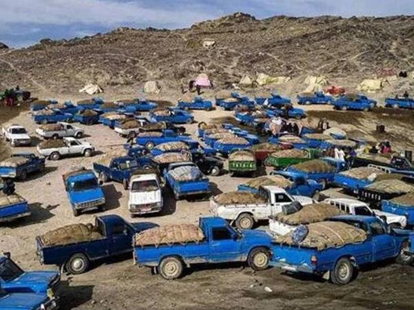 پیٹرولیم ایکٹ ترمیمی بل قومی اسمبلی سے منظور،اسمگلنگ پر 10 لاکھ روپے جرمانہ ہو گا