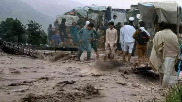 ملک بھر میں بارشوں اور سیلاب کے باعث اب تک 799 افراد جاں بحق ہو چکے ہیں