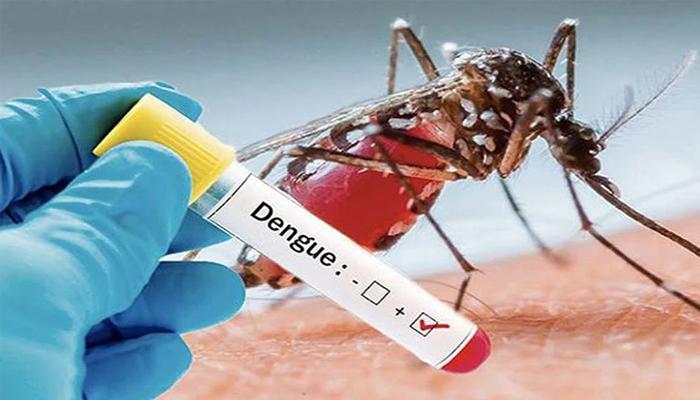 خیبرپختونخوا میں ڈینگی کی بگڑتی  صورتحال، فعال کیسز کی تعداد 90 تک پہنچ گئی