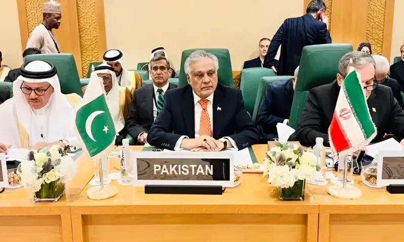  او آئی سی  اجلاس: پاکستان نے گریٹر اسرائیل کا منصوبہ مسترد کردیا، فلسطین کےدو ریاستی حل کا مطالبہ