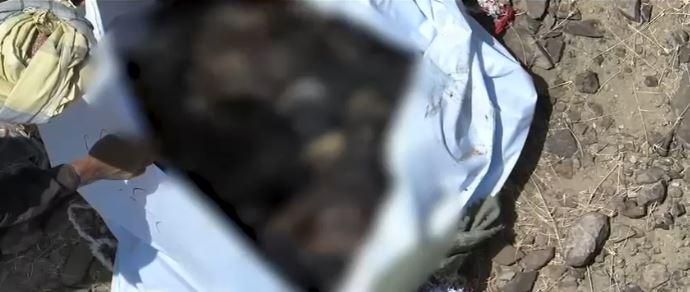 Security forces neutralise 47 terrorists in foiled infiltration attempt at Pak-Afghan Border