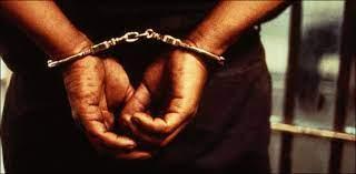 FIA arrests human smuggler with 6 Afghan nationals in Quetta