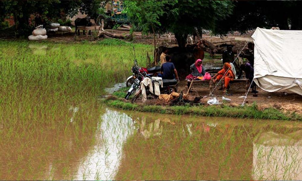 Floods: WHO warns of epidemics to increase in Pakistan 