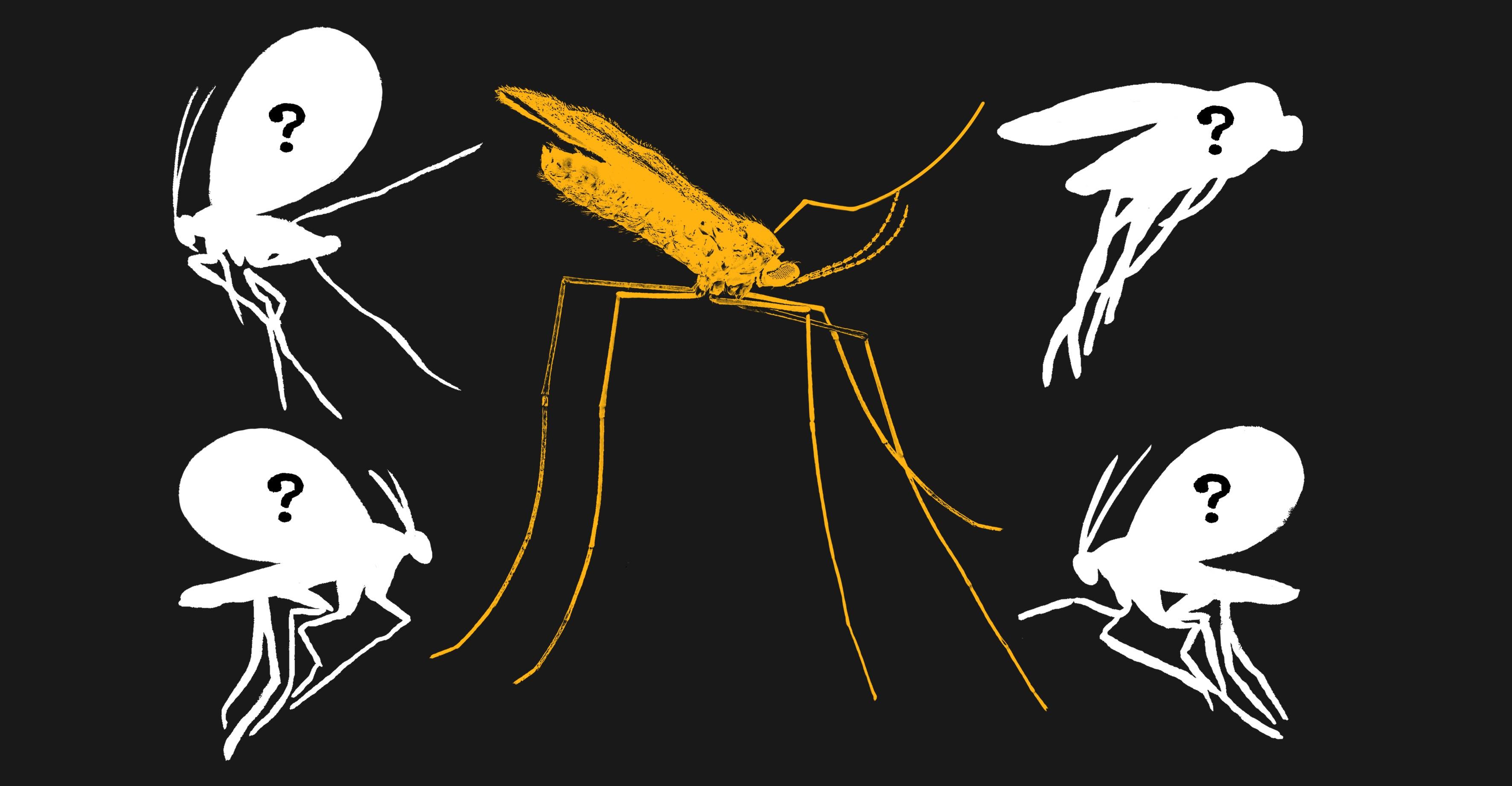 The search for Earth’s most mysterious creatures is turning up extraordinary results
