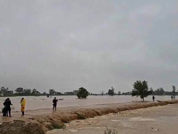 پنجاب کے مختلف اضلاع میں 5 ستمبر تک بارشوں کا امکان،دریاؤں میں سیلاب کی شدت میں اضافے کا خدشہ