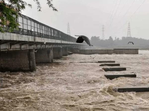 دریائے چناب میں اونچے درجے کا سیلاب، مظفر گڑھ، جھنگ اور خانیوال کے کئی دیہات زیرِ آب