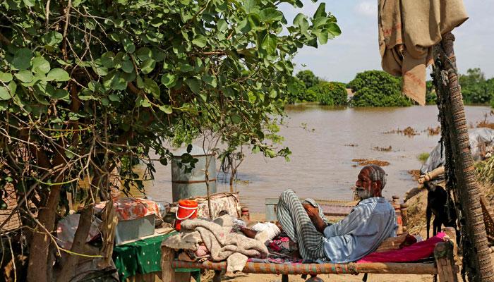 ملک میں بارشوں اور سیلاب سے کتنے افراد جاں بحق ہوئے؟این ڈی ایم اے کی نے رپورٹ جاری کر دی