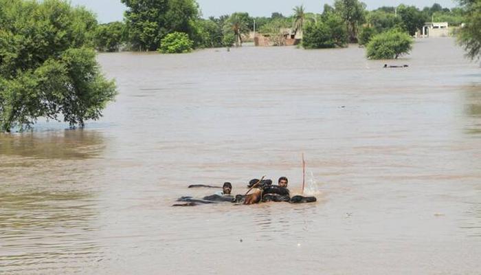 پنجاب کے دریاؤں میں سیلابی صورتحال برقرار، علی پور میں حفاظتی بند ٹوٹ گیا