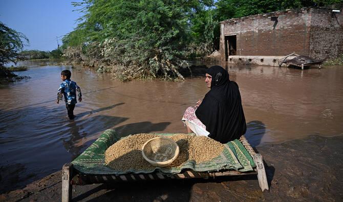 Over 4,000 villages affected by floods in Punjab: PDMA
