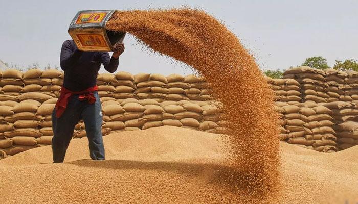 پنجاب حکومت کا ذخیرہ اندوزوں کے خلاف کریک ڈاؤن، ہزاروں   میٹرک ٹن گندم ضبط