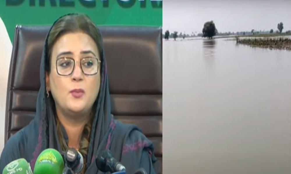 No one has control over floods, situation in Punjab is deteriorating: Azma Bokhari