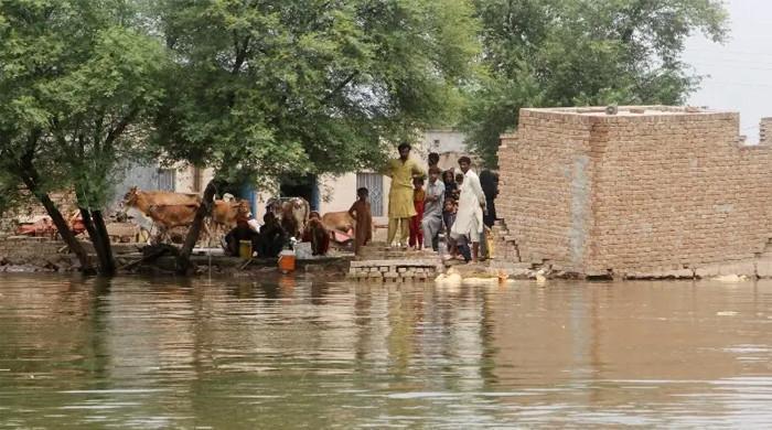 ملتان کی تحصیل جلالپور میں صورتحال سنگیں، شہر کو بچانے والے اربن بند کو شدید خطرہ لاحق