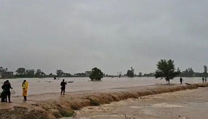 جلالپور پیر والا کے اسسٹنٹ کمشنر کو ہٹادیا گیا، مکرم خان نئے اے سی تعینات