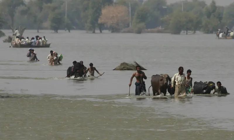 پنجاب میں تباہی پھیلانے کے بعد سیلابی ریلہ سندھ میں داخل،گھوٹکی میں متعدد زائد دیہات زیر آب