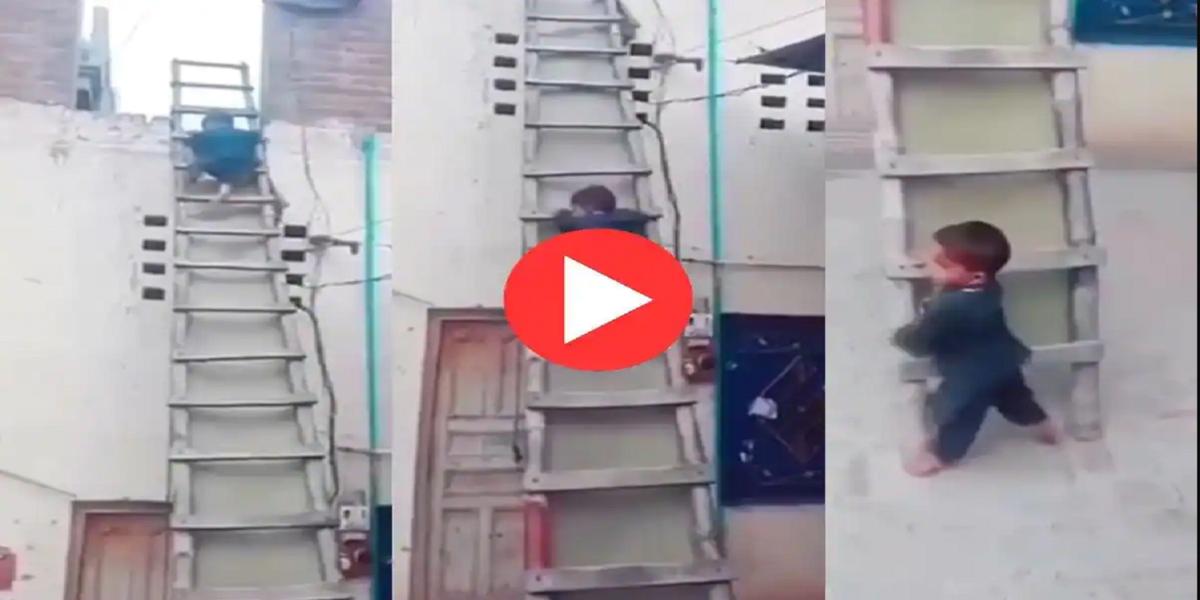 Video goes viral as youngster climbs down ladder with extraordinary speed