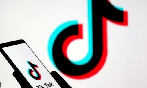 Resolution submitted in Punjab Assembly seeking ban on TikTok