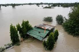Eleven bodies recovered from floodwaters in Alipur