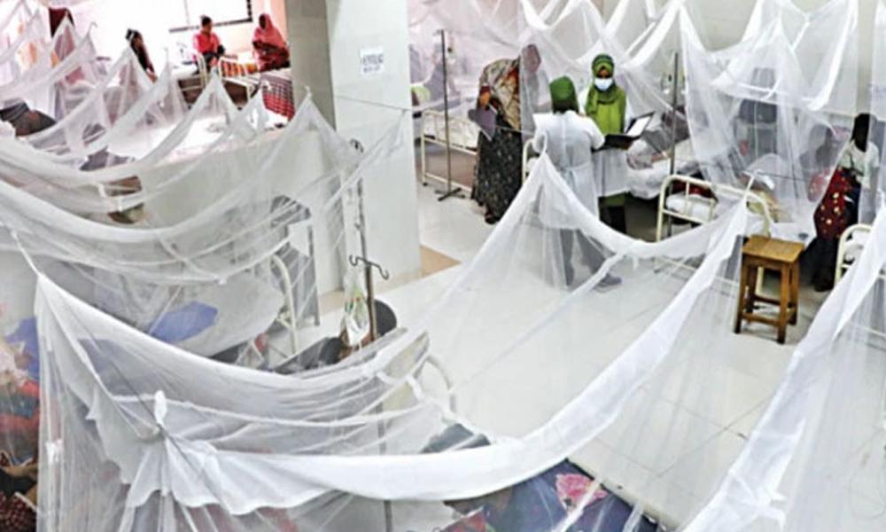 Tharparkar: Dengue cases in Islamkot increase by over 50pc