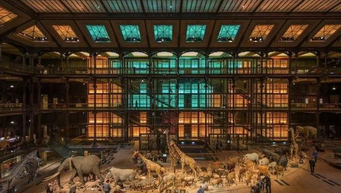 Gold worth 600,000 euros stolen in Paris museum heist