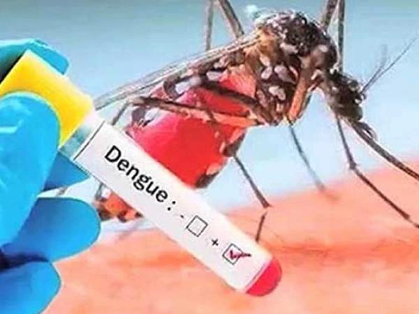 اسلام آباد میں ڈینگی وائرس کے کیسز میں تیزی سے اضافہ،24 گھنٹوں  میں 31 نئے  کیسز رپورٹ