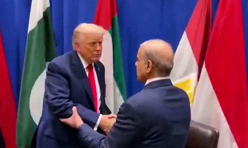 شہبازشریف آج امریکی صدر ٹرمپ سے وائٹ ہاؤس میں باضابطہ ملاقات کریں گے 