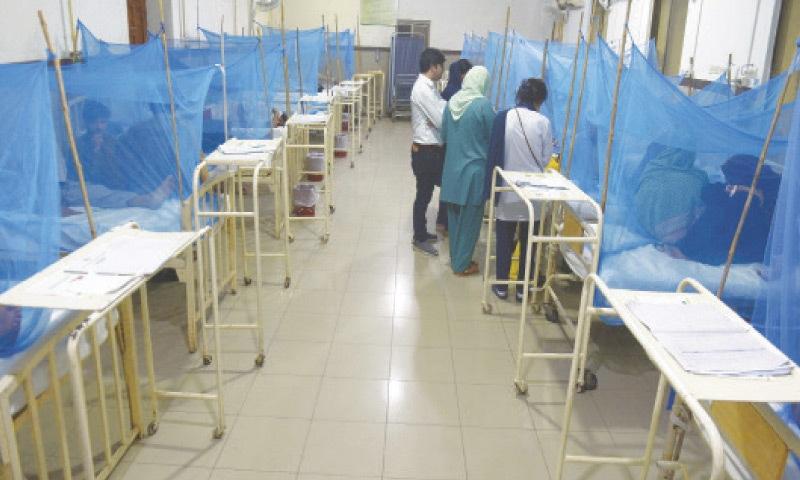 Rawalpindi battles dengue outbreak with 570 cases