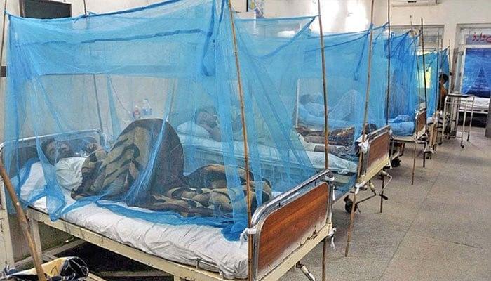 راولپنڈی میں ڈینگی بے قابو،گزشتہ 24 گھنٹوں میں 27 نئے مریض رپورٹ