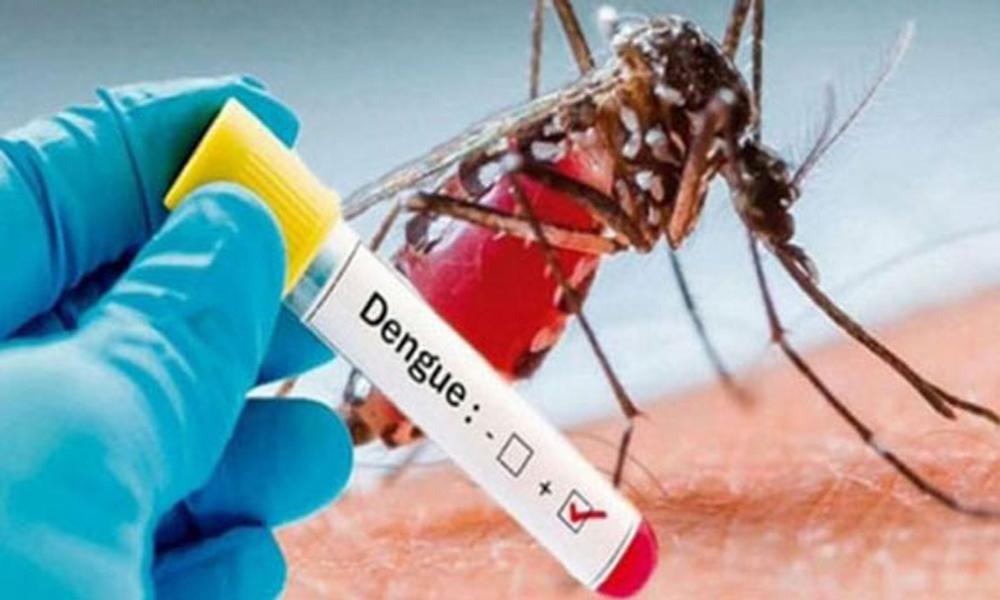 Dengue cases increase in KP