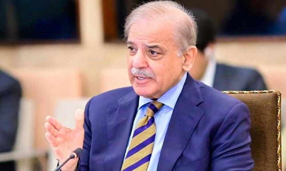 Field Marshal and I consult each other on every issue: PM