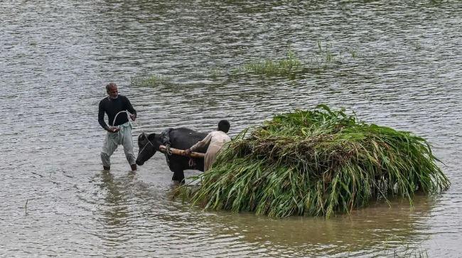 Protective embankment breach in Sutlej River submerges 28 villages