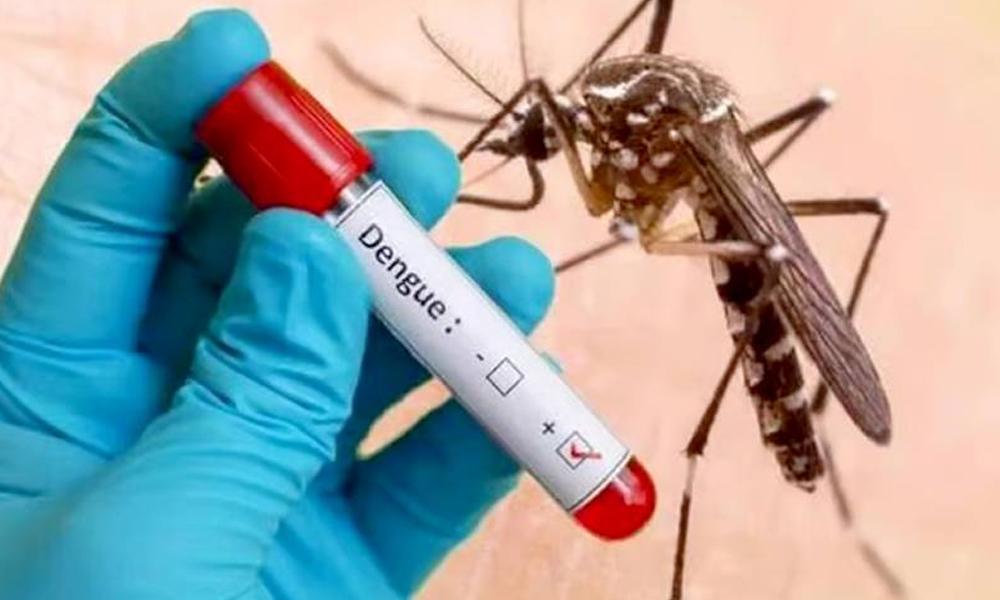 Rawalpindi: Dengue cases increase, 20 new patients reported