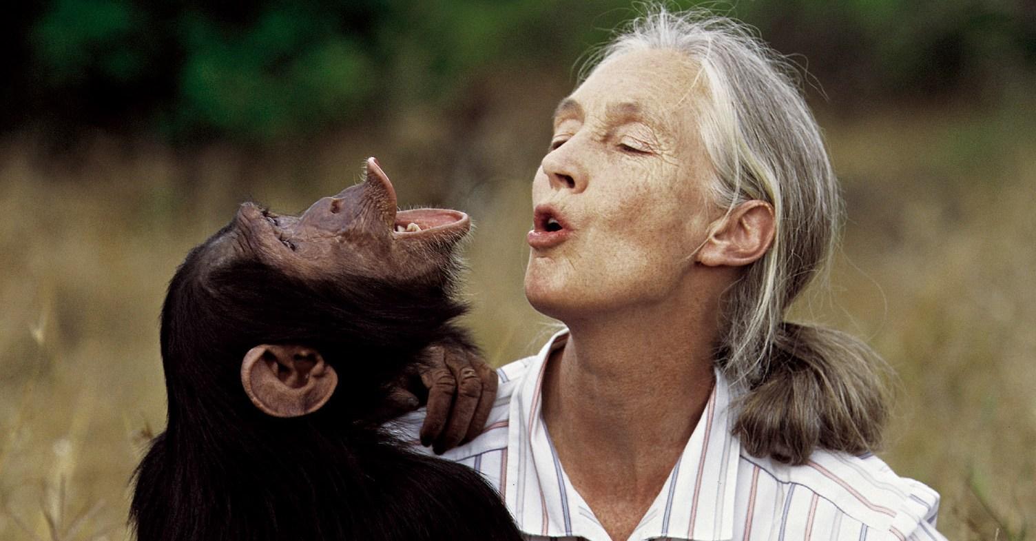 Listen to Jane Goodall’s final — and urgent — message