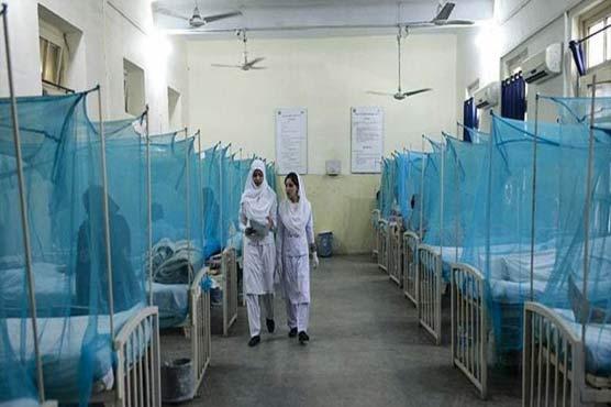 خیبر پختونخوا میں بھی ڈینگی بے قابو،گزشتہ چوبیس گھنٹوں میں 32کیسز رپورٹ