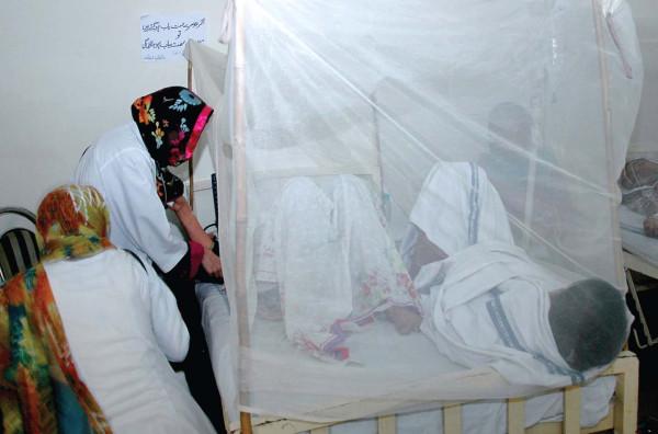 راولپنڈی: موسمیاتی تبدیلی کے باوجود ڈینگی بے قابو، گزشتہ 24 گھنٹوں میں مزید 30 مریض رپورٹ