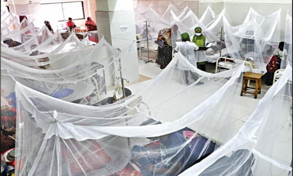 Dengue attacks continue in Rawalpindi