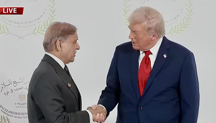 شہباز شریف اور ڈونلڈ ٹرمپ کی ملاقات، گرمجوش مصافحہ