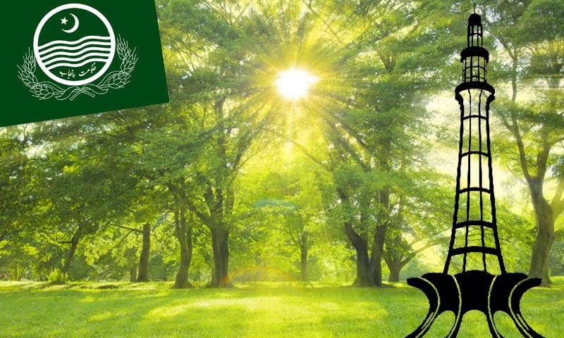 اسموگ اور ماحولیاتی آلودگی کے تدارک کے لیے لاہور کے اردگرد جنگل نما حد بندی کا فیصلہ