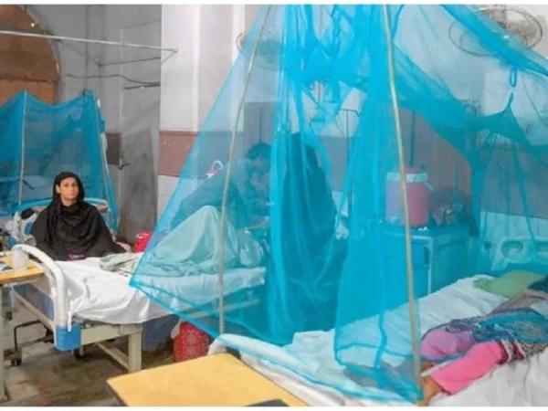 راولپنڈی میں ڈینگی کے وار تھم نہ سکے،شہر کے مختلف علاقوں میں مریضوں کی تعداد میں مسلسل اضافہ