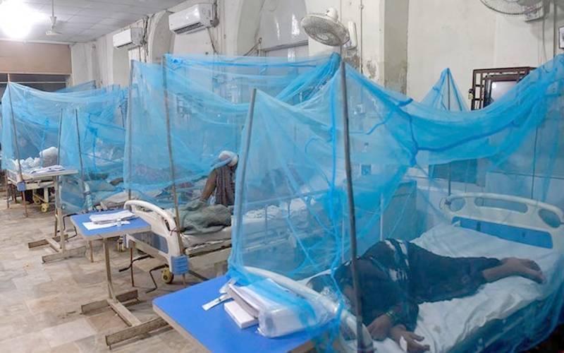 گزشتہ 24 گھنٹوں کے دوران اسلام آباد میں 4 نئے ڈینگی کیس رپورٹ ،28 مریض زیرِ علاج