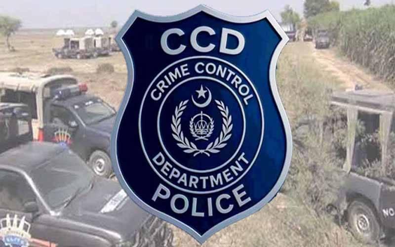 پنجاب میں سی سی ڈی کے مبینہ مقابلوں میں 8 خطرناک گینگز کا صفایا 