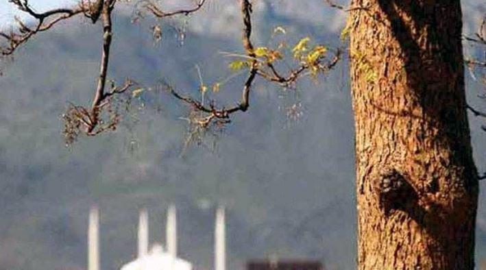 PMD predicts cold, dry weather in most parts