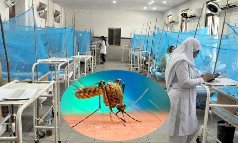اسلام آباد میں انسداد ڈینگی مہم مزید تیز، کیسز کی تعدادمیں نمایاں کمی