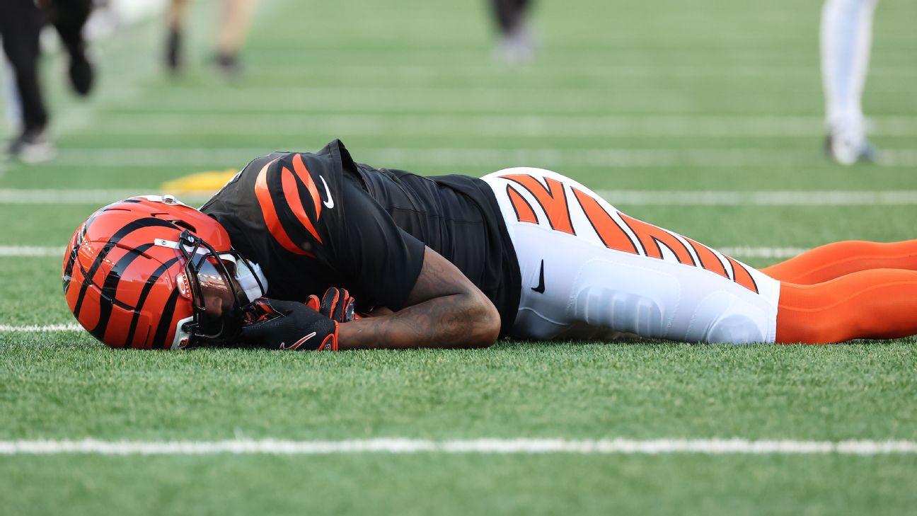 Bengals' Higgins concussed after hard fall to turf